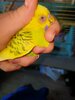 IMG20250311153050.jpg
