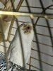 IMG_4692.jpeg