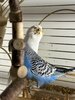 IMG_4695.jpeg