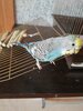 IMG_20250315_102841.jpg