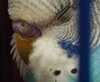 IMG_20250318_133010_278.jpg