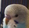 IMG_20250318_133008_788.jpg