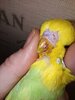 IMG20241227063713.jpg