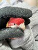 IMG_8357.jpeg