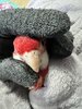 IMG_8356.jpeg