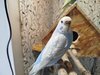 IMG_20250327_112902.jpg
