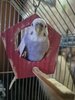 IMG_2872.jpeg