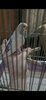 IMG_2874.jpeg