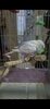 IMG_2875.jpeg