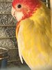 IMG_8423.jpeg