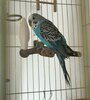 IMG_7942.jpg