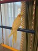 IMG_4426.jpeg