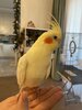IMG_4429.jpeg