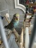 IMG_5761.jpeg