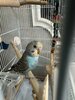 IMG_5763.jpeg