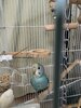 IMG_5765.jpeg