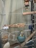 IMG_5767.jpeg