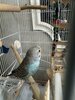 IMG_5764.jpeg