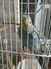 IMG_5771.jpeg