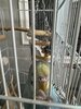 IMG_5773.jpeg