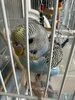 IMG_5777.jpeg