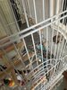 IMG_5791.jpeg