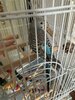 IMG_5792.jpeg