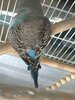 IMG_5801.jpeg