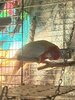 IMG_8453.jpeg