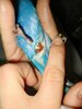 IMG-20250408-WA0000.jpg