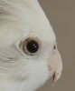 IMG_3022.jpeg