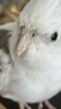 IMG_3026.jpeg