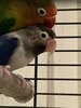IMG_9672.jpeg