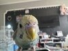 IMG_5886.jpeg
