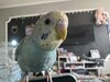 IMG_5887.jpeg