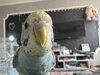 IMG_5888.jpeg