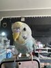 IMG_5890.jpeg