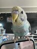 IMG_5891.jpeg