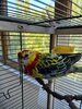 bird1.jpg