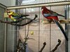 bird5.jpg