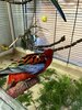 bird4.jpg