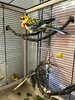 bird6.jpg