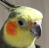 IMG_20250416_131504.jpg