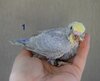 DSC_7828.JPG
