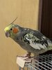 IMG_3510.jpeg