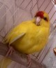 IMG_3063.jpeg