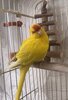 IMG_3060.jpeg