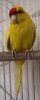 IMG_3059.jpeg