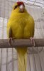 IMG_3049.jpeg