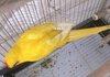 IMG_3053.jpeg